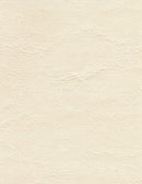 Zander Skrovbeklädnad - White cap