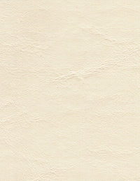 Zander Skrovbeklädnad - White cap