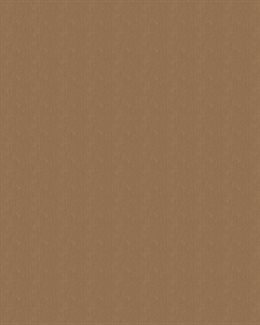 Sunbrella Solids HEATHER BEIGE