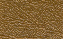 324 Camel
